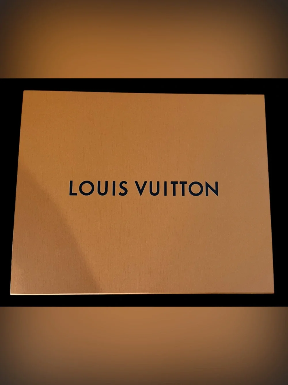 Louis Vuitton empty authentic